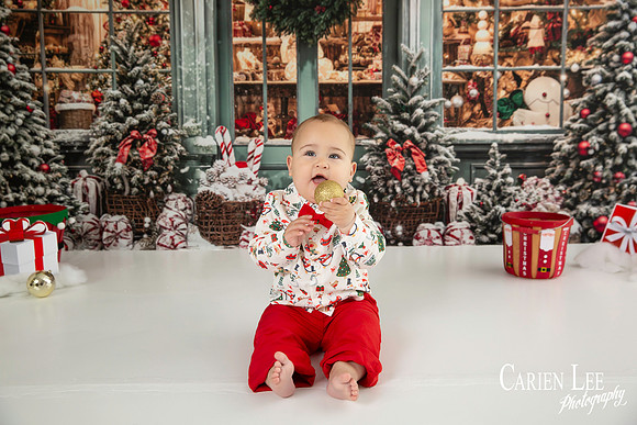 Carien Lee photography christmas photography set 2025-5