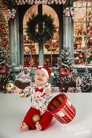 Carien Lee photography christmas photography set 2025-75