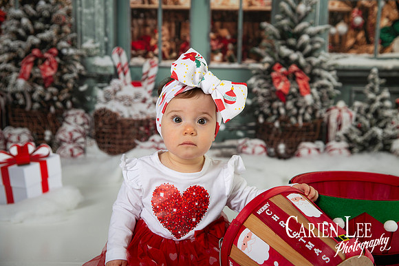 Carien Lee photography christmas photography set 2025-75