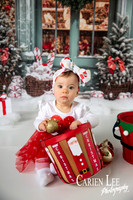 Carien Lee photography christmas photography set 2025-75