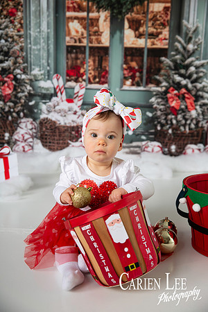 Carien Lee photography christmas photography set 2025-75