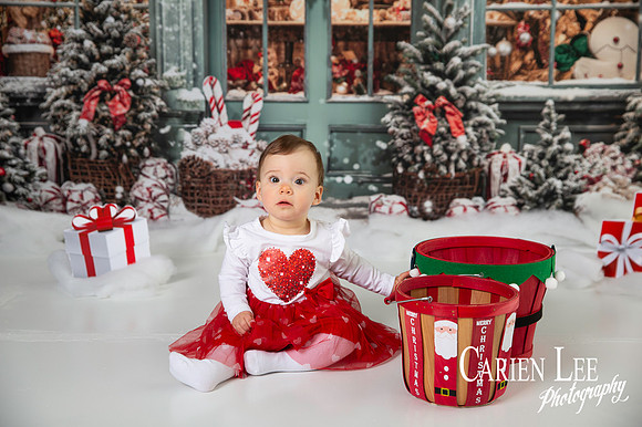 Carien Lee photography christmas photography set 2025-75