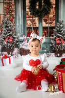 Carien Lee photography christmas photography set 2025-75