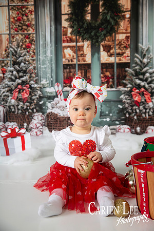 Carien Lee photography christmas photography set 2025-75