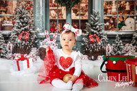 Carien Lee photography christmas photography set 2025-75