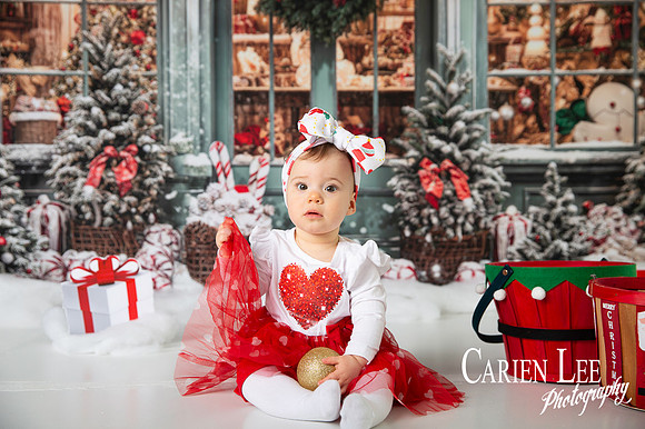 Carien Lee photography christmas photography set 2025-75
