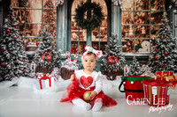 Carien Lee photography christmas photography set 2025-75