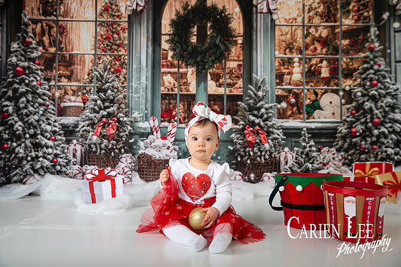 Carien Lee photography christmas photography set 2025-75