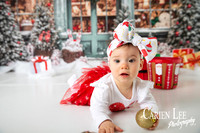Carien Lee photography christmas photography set 2025-75