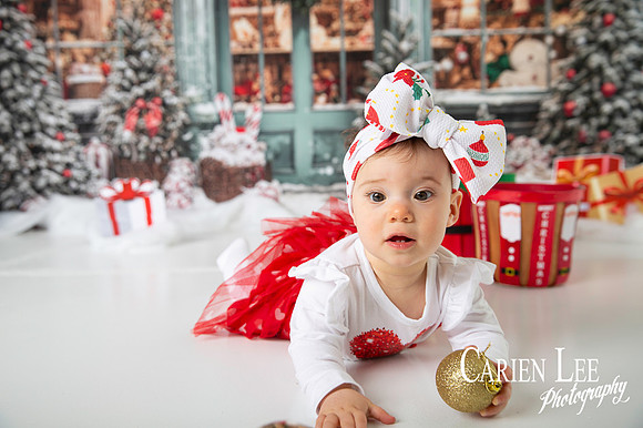 Carien Lee photography christmas photography set 2025-75