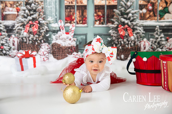 Carien Lee photography christmas photography set 2025-75
