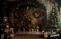 Santa mini session photographer Bunbury