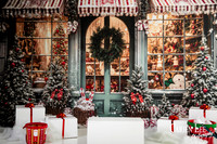 Santa mini session photography Bunbury