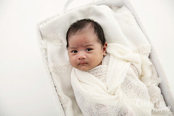 newborn portrait in a basket