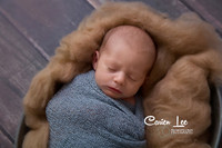 Four brothers under two years old family photography Bunbury