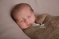 Two sets of twin boys newborn photography session in Bunbury