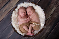 Twin newborn boys photographed together in Bunbury Western Australia