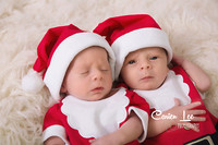 Twin baby boys posed together during newborn photography session