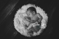 Bunbury newborn photographer capturing twin boys together