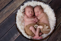 Twin baby boys posed together during newborn photography session