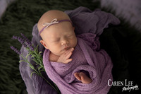 Newborn Posing by newborn Photographer in Bunbury