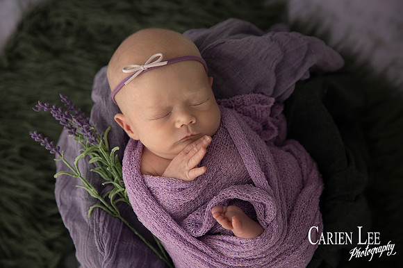 Newborn Posing by newborn Photographer in Bunbury