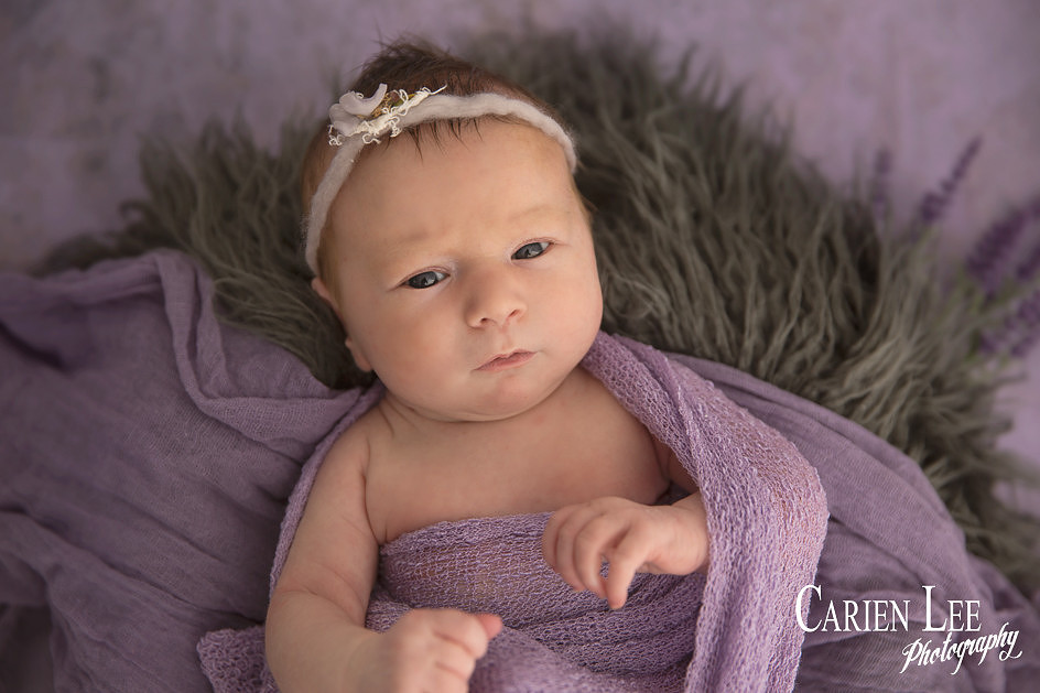 Newborn baby portrait in Bunbury