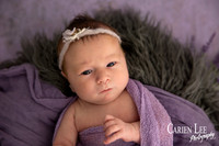 Newborn Baby portrait in bunbury studio