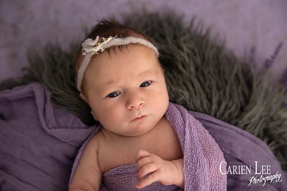 Newborn Baby portrait in bunbury studio