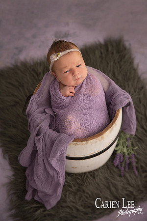 newborn baby posed in a bucket in Bunbury Studio