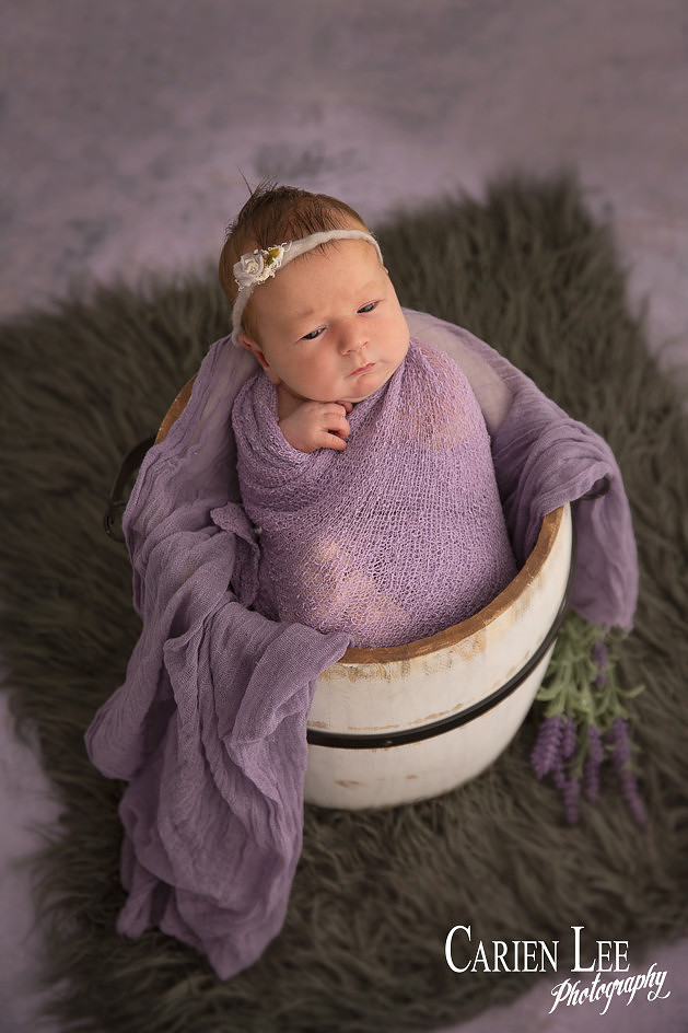 newborn baby posed in a bucket in Bunbury Studio