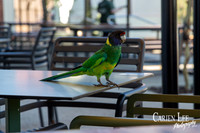 Exchange hotel locals
