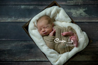 Bunbury-newborn-baby-photographer-Kaidon (6)