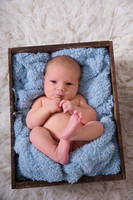Prunster Family newborn session -11