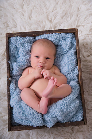 Prunster Family newborn session -11