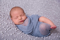 Prunster Family newborn session -14