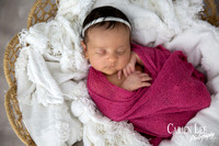 Baby girl peacefully sleeping during a  newborn session
