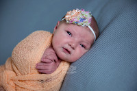 Elizabeth-bunbury-newborn-photography (8)
