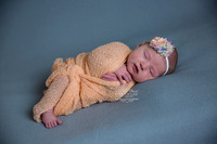 Elizabeth-bunbury-newborn-photography (9)