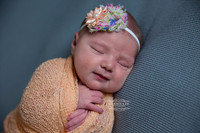 Elizabeth-bunbury-newborn-photography (10)