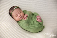 Galvez family newborn photography session in Bunbury featuring parents, newborn baby girl and family puppy captured by a professional Bunbury newborn photographer.