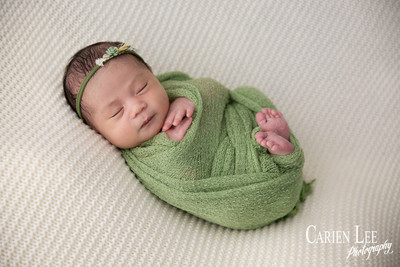Galvez family newborn photography session in Bunbury featuring parents, newborn baby girl and family puppy captured by a professional Bunbury newborn photographer.