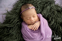 Newborn girl in Bunbury studio wrapped up in purple