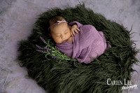 Lavender setup for a newborn girl in Bunbury studio during a newborn session
