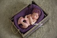 Bunbury-Newborn-Photographer-Baby-A (7)