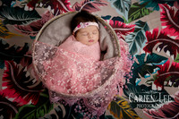 Roney Family Newborn session-18
