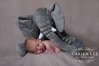 Bunbury Newborn photographer Boy Nate-19