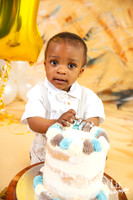 1 year old milestone birthday cake smash session