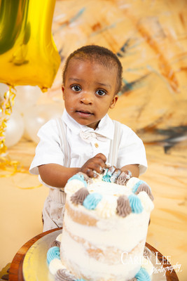 1 year old milestone birthday cake smash session