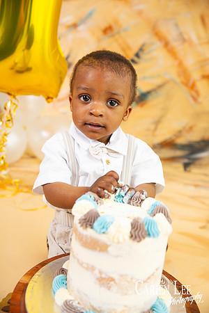 1 year old milestone birthday cake smash session